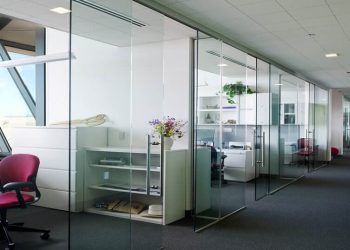 Frameless-Glass-Partition-Frosted-3